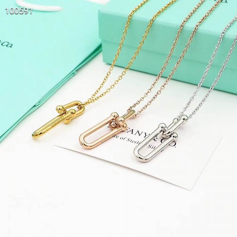 Tiffany&Co Necklaces 17